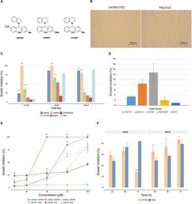 Alkylaminophenol Induces G1/S Phase Cell Cycle Arrest in Glioblastoma Cells Through p53 and Cyclin-Dependent Kinase Signaling Pathway